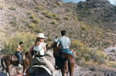 madonna_horse